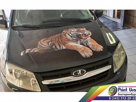 Наклейка на капот